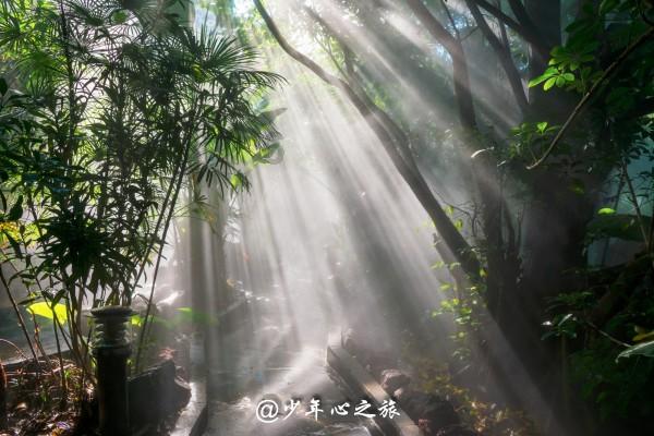 探索08迈腾换变速箱油中控瓶就不通电了知识星球平台